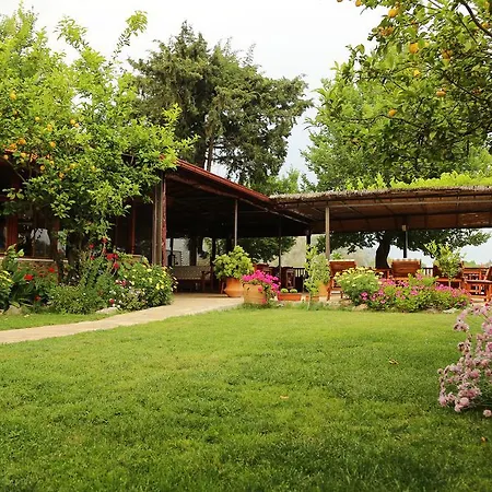 Dalyan Pension Lodge Dalyan