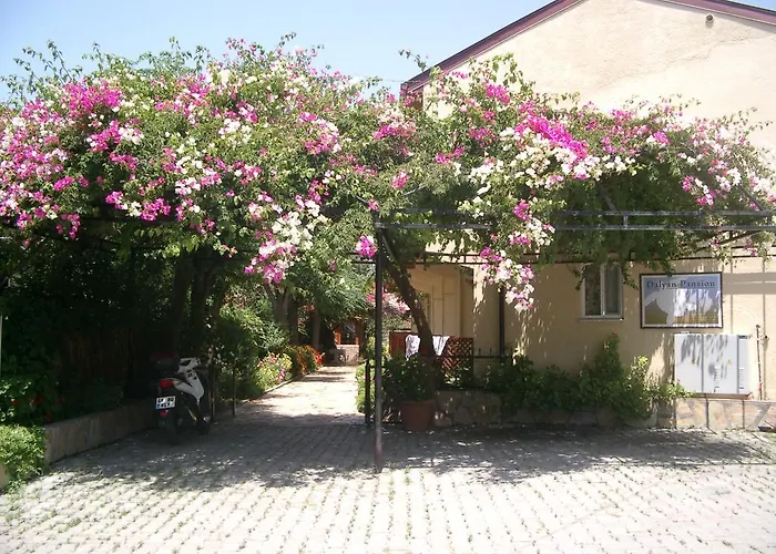 Деревянный коттедж Dalyan Pension Дальян