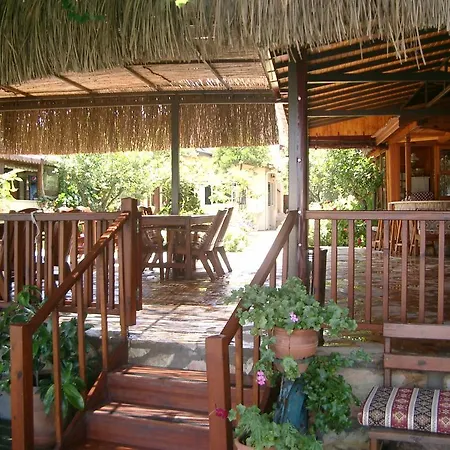 达利安旅馆 山林小屋 达利安