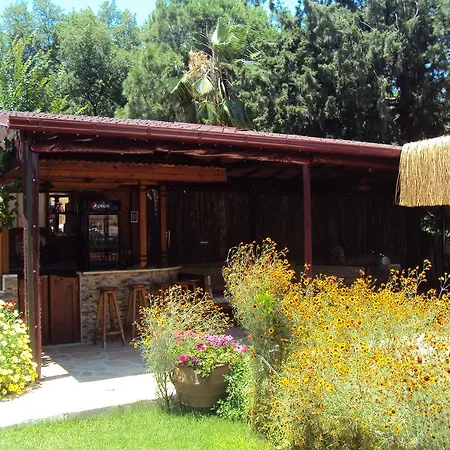 山林小屋 达利安旅馆 *