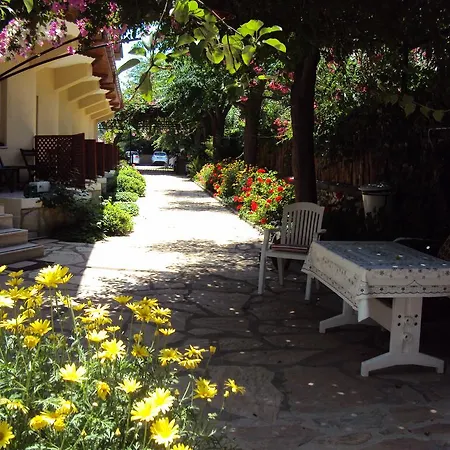 山林小屋 达利安旅馆 *