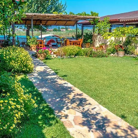 بنسيون داليان *