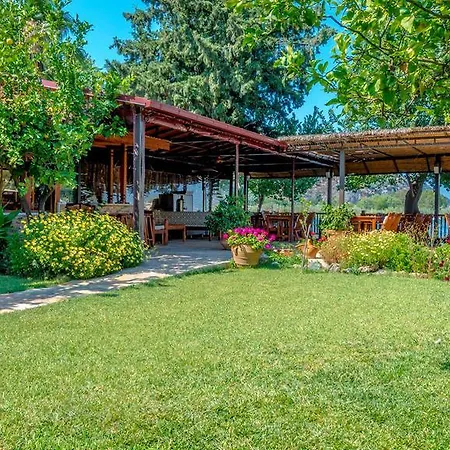 达利安旅馆 山林小屋 达利安