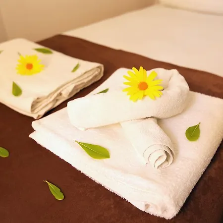 بنسيون داليان بيت خشبي داليان