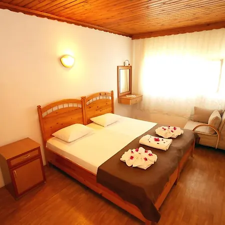 山林小屋 达利安旅馆 *