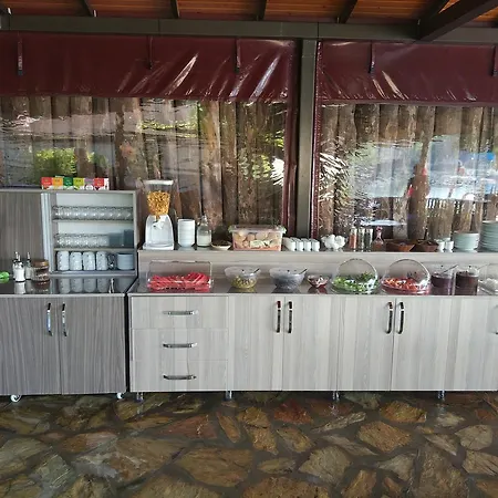 达利安旅馆 山林小屋