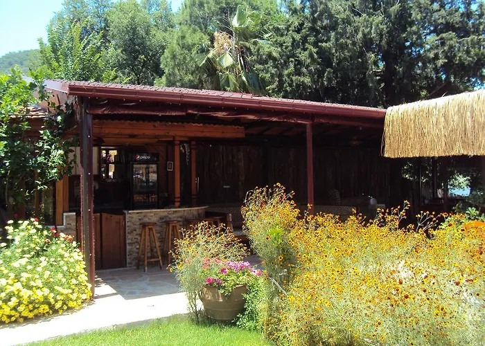 بيت خشبي بنسيون داليان *