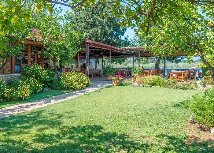 بنسيون داليان