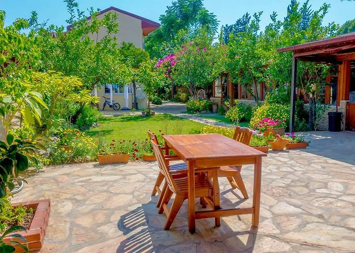 بنسيون داليان *