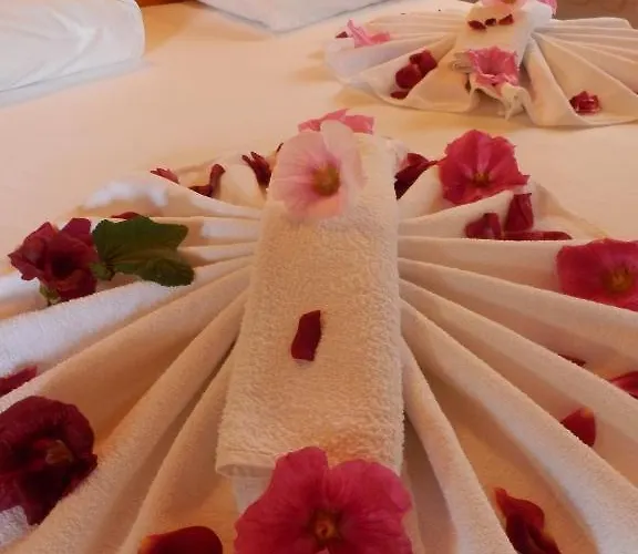 بيت خشبي بنسيون داليان