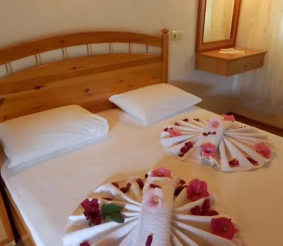 بنسيون داليان داليان